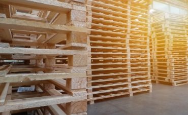 Pallets de Madeira