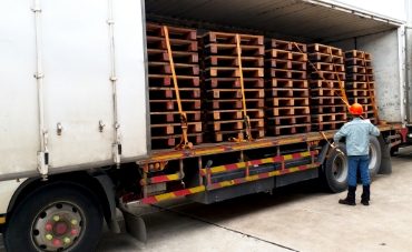 Pallets de Madeira