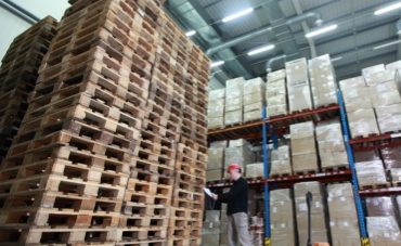 Pallets de Madeira